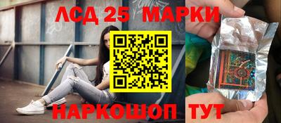 шишки Камышлов