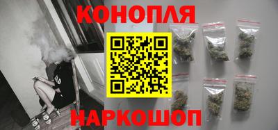 шишки Камышлов