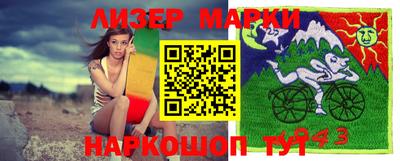 шишки Камышлов