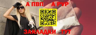 шишки Камышлов