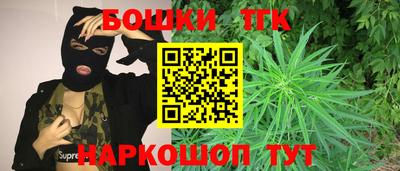 шишки Камышлов