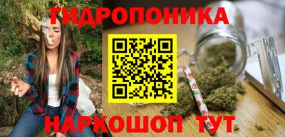 шишки Камышлов