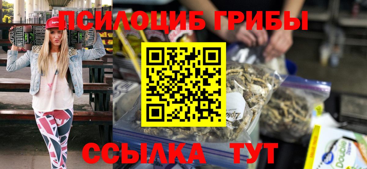 Псилоцибиновые грибы Cubensis  Вход с VPN  Лабинск 